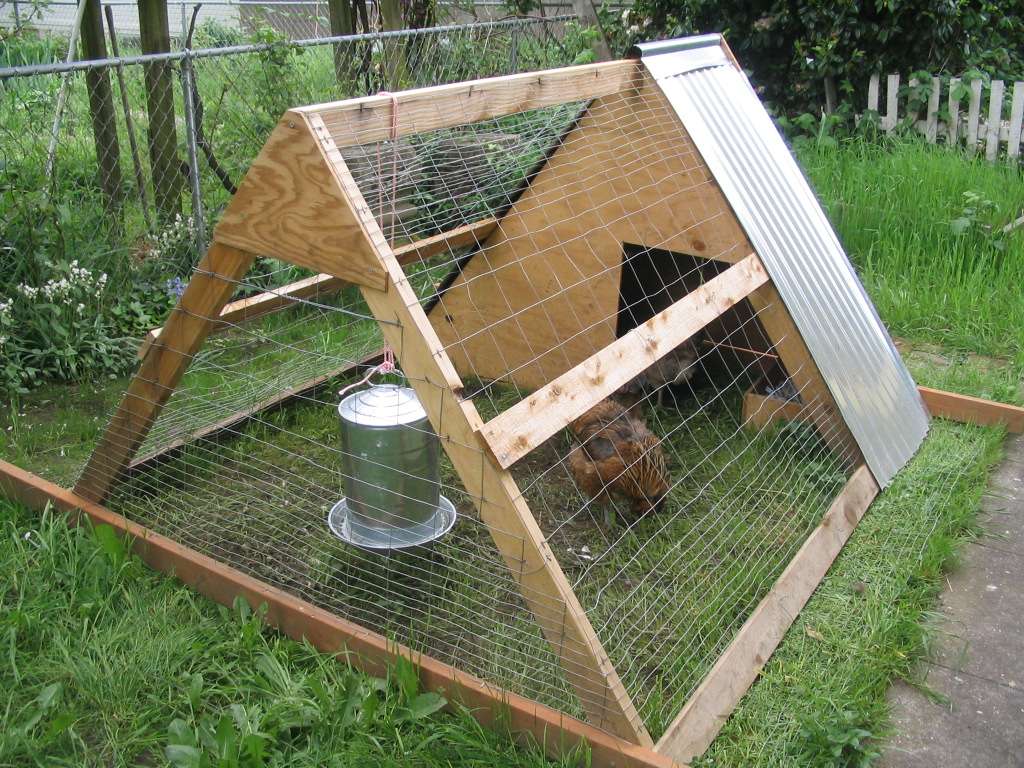 Chicken wire frame coop