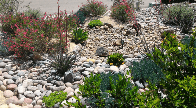 Dry Creek Bed Landscaping