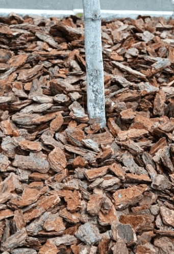 Mulch layer