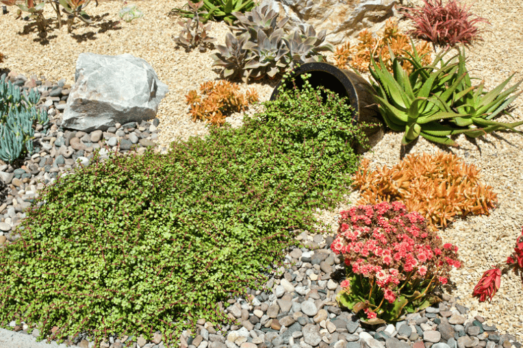 Sustainable Dry Garden Landscaping
