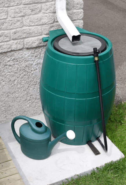 Using Rainwater for Gardens