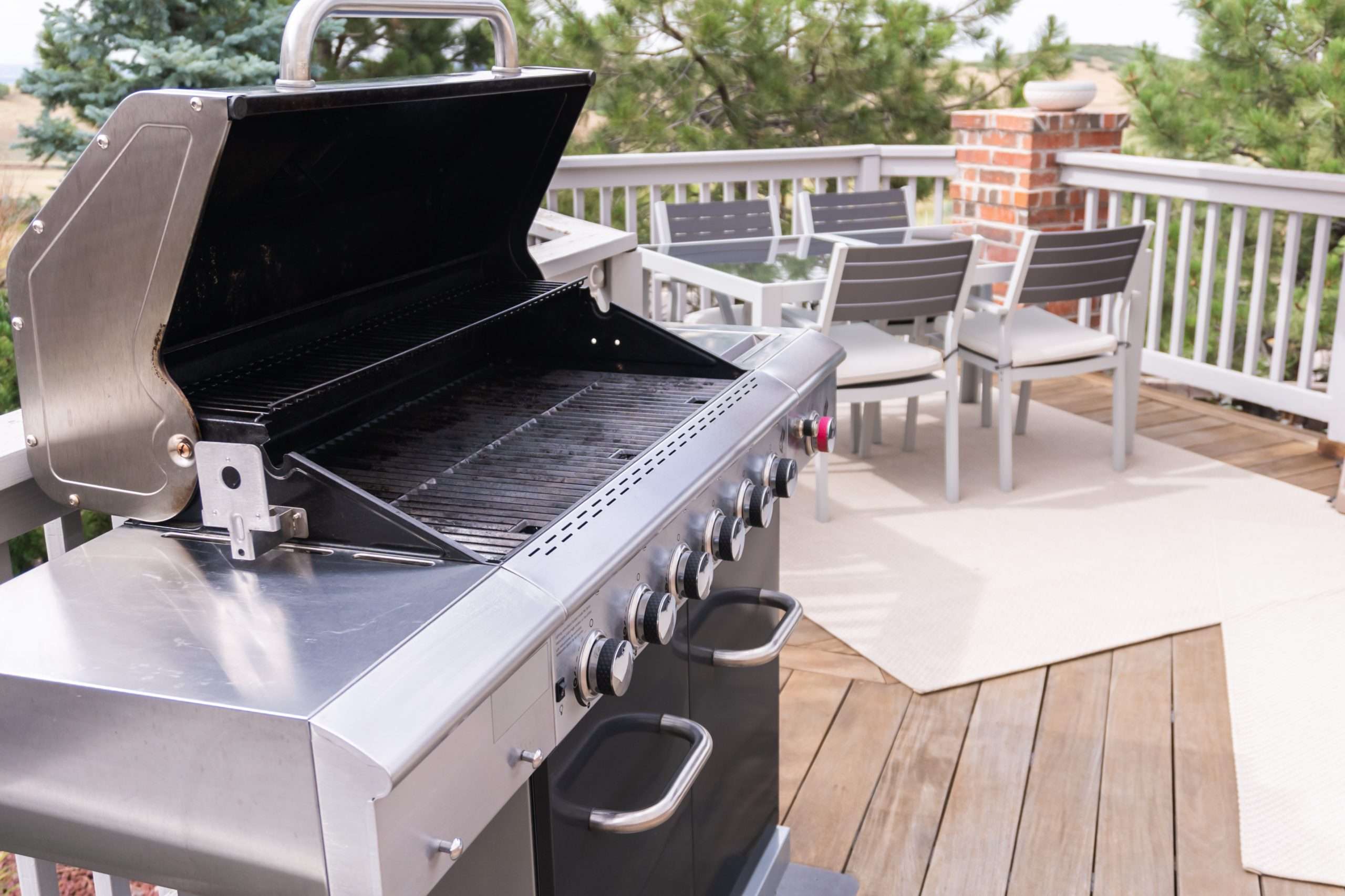 Stainless Steel Gas Grill station