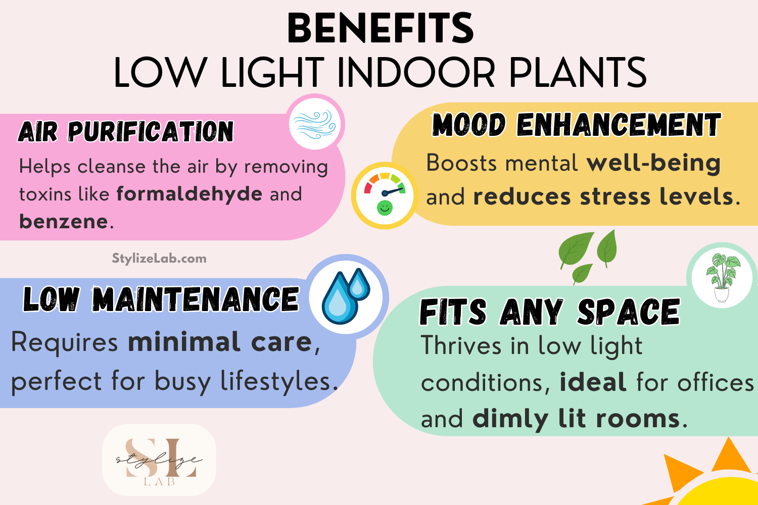 Benefits of Low Light Indoor Plants