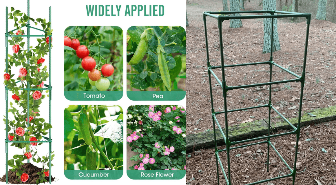 Support Structures for bed raised garden - trellises