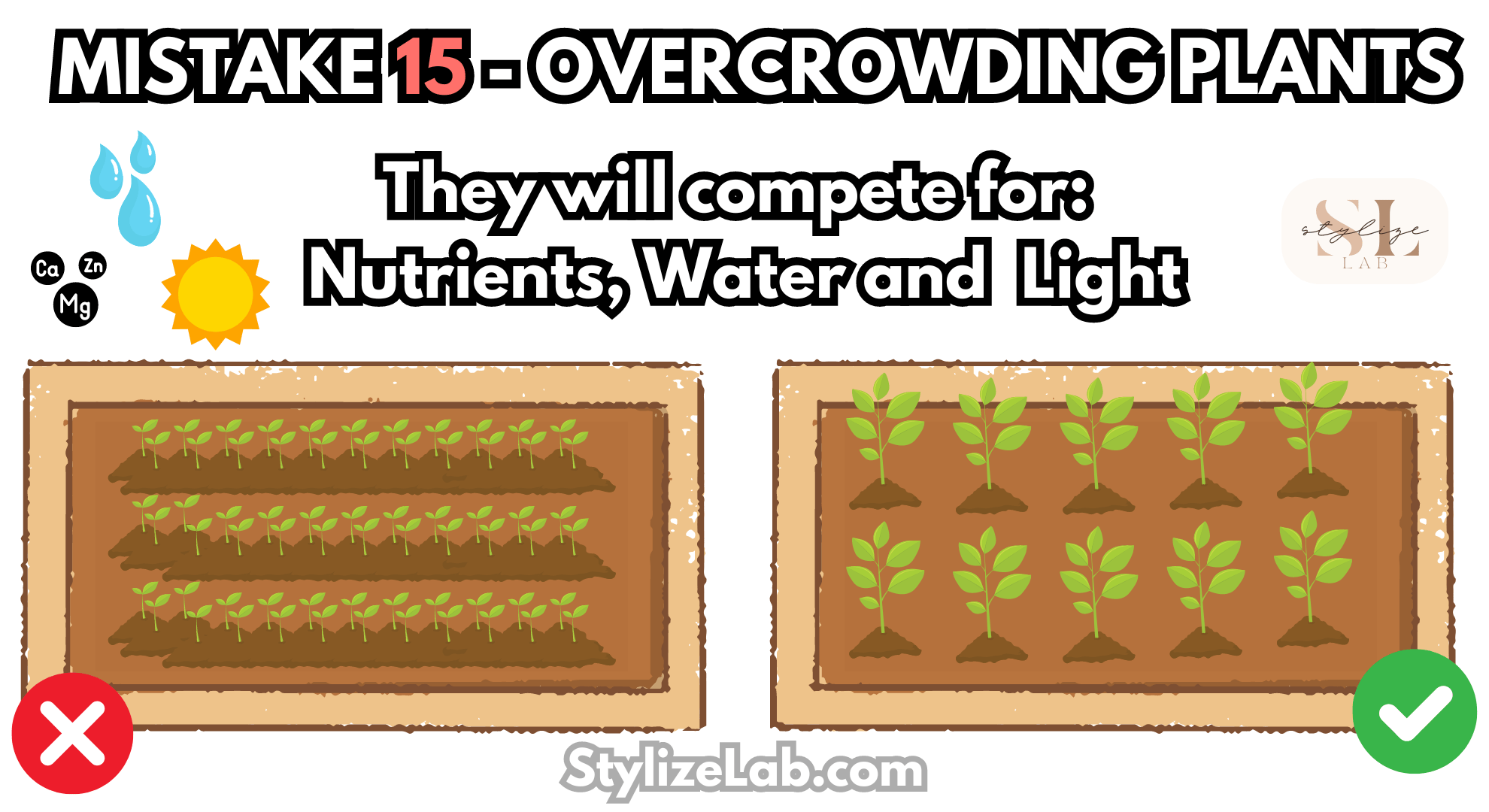 avoid Overcrowding Plants
