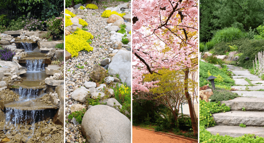 rocks, water plants, paths garden japanese style