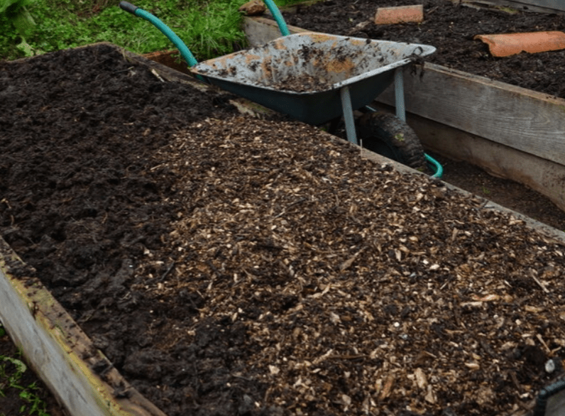 thick layer of mulch