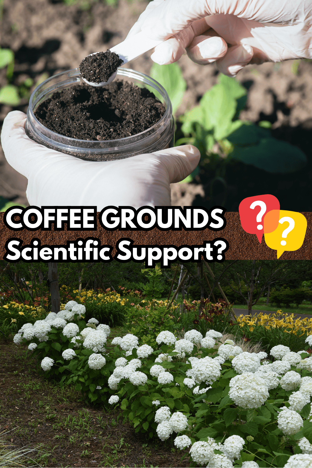 Coffee Grounds has Scientific Support or no