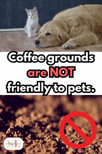 Dangers of Caffeine for Pets coffee grounds are not friendly to pets