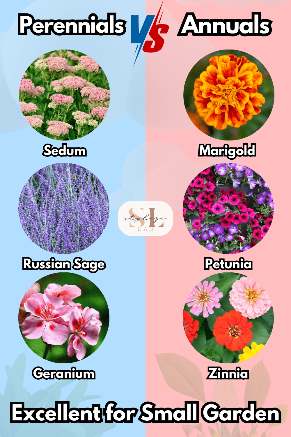 Perennials vs Annuals