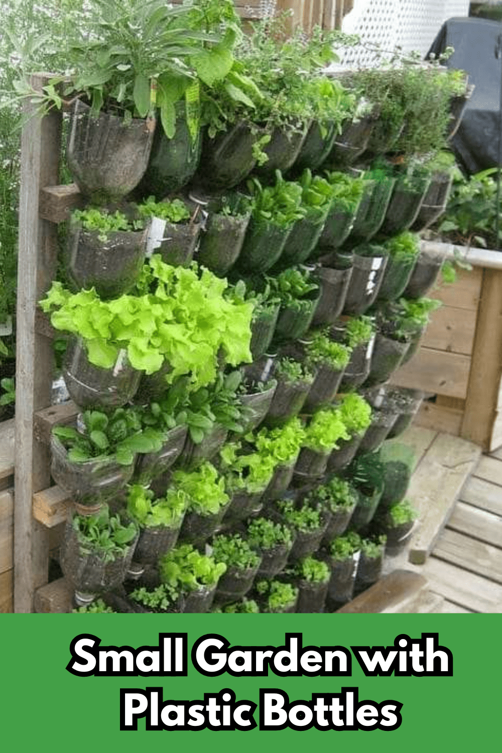Small Garden with Plastic Bottles