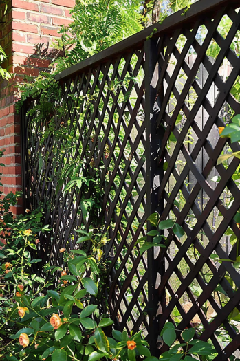 backyard with a trellis privacy fence