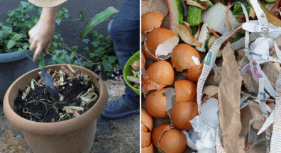 diy compost with eggs, kitchen scraps, leaves