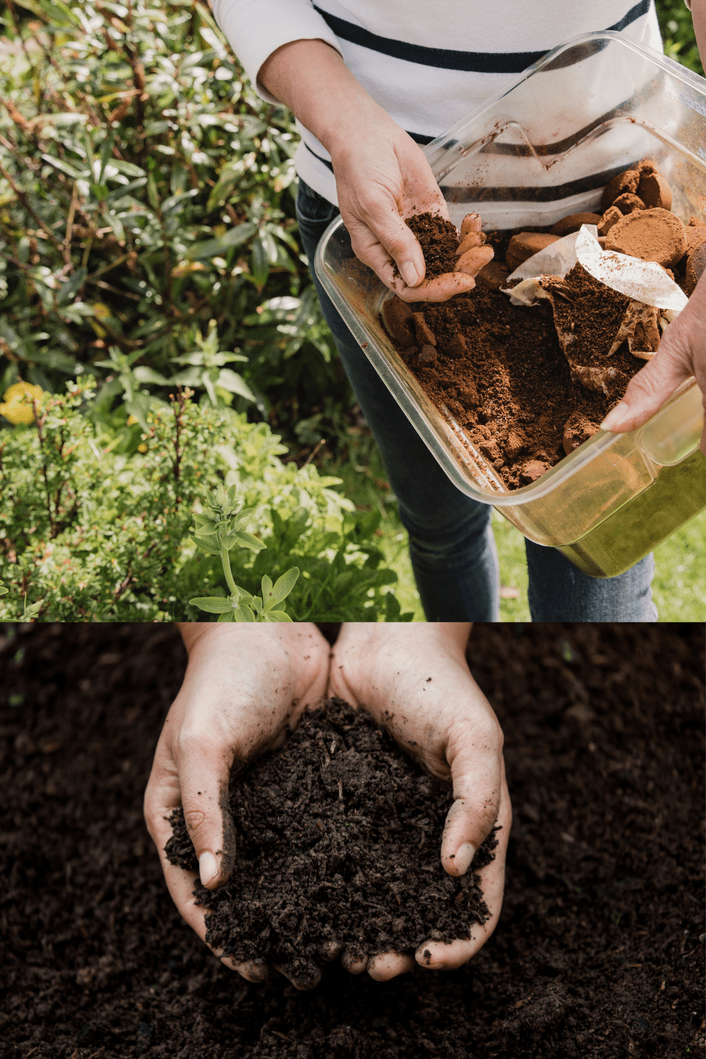 sprinkle used coffee grounds on top of your soil