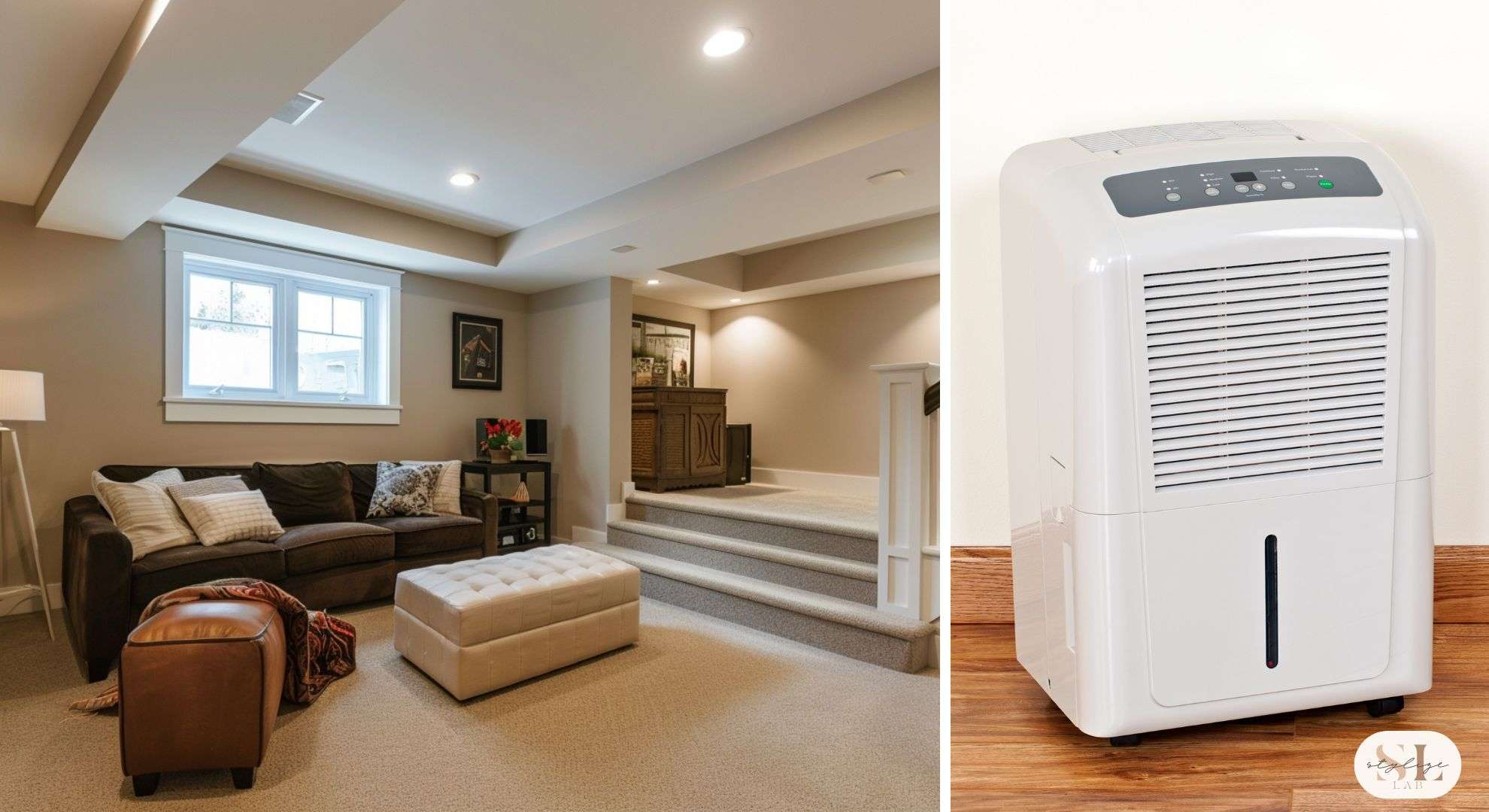 basement with dehumidifier and windows