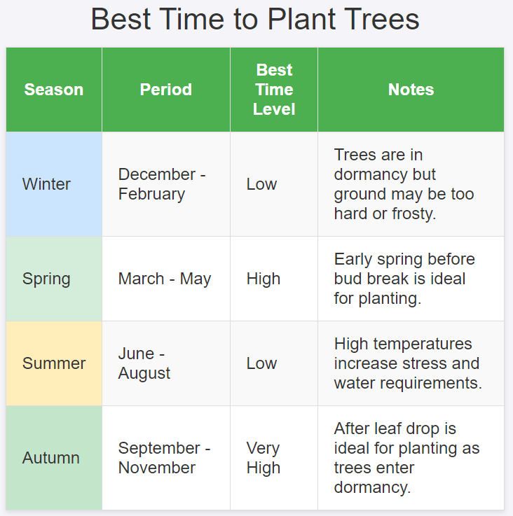 best time of year to plant, winter, spring summer and autumn.. so spring and autumn is high best time level to planting tree