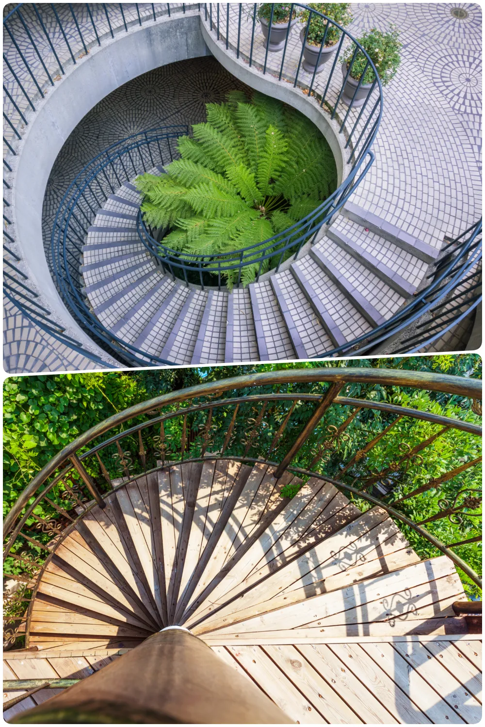 Curved concrete staircase with fern and patterned tiles at the base, Wooden spiral staircase surrounded by greenery and sunlight