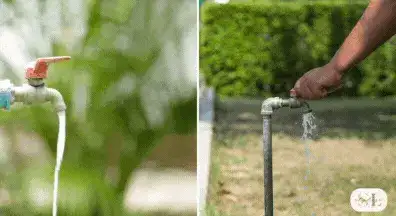 Water flowing from a garden faucet with greenery in the background, Hand turning a pipe faucet with water streaming out in a garden setting