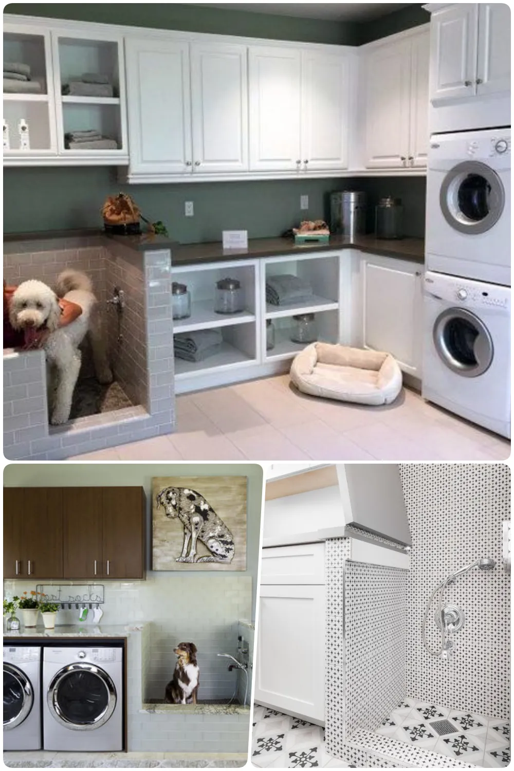 Stylish laundry room with dog washing station storage and washing machines modern design