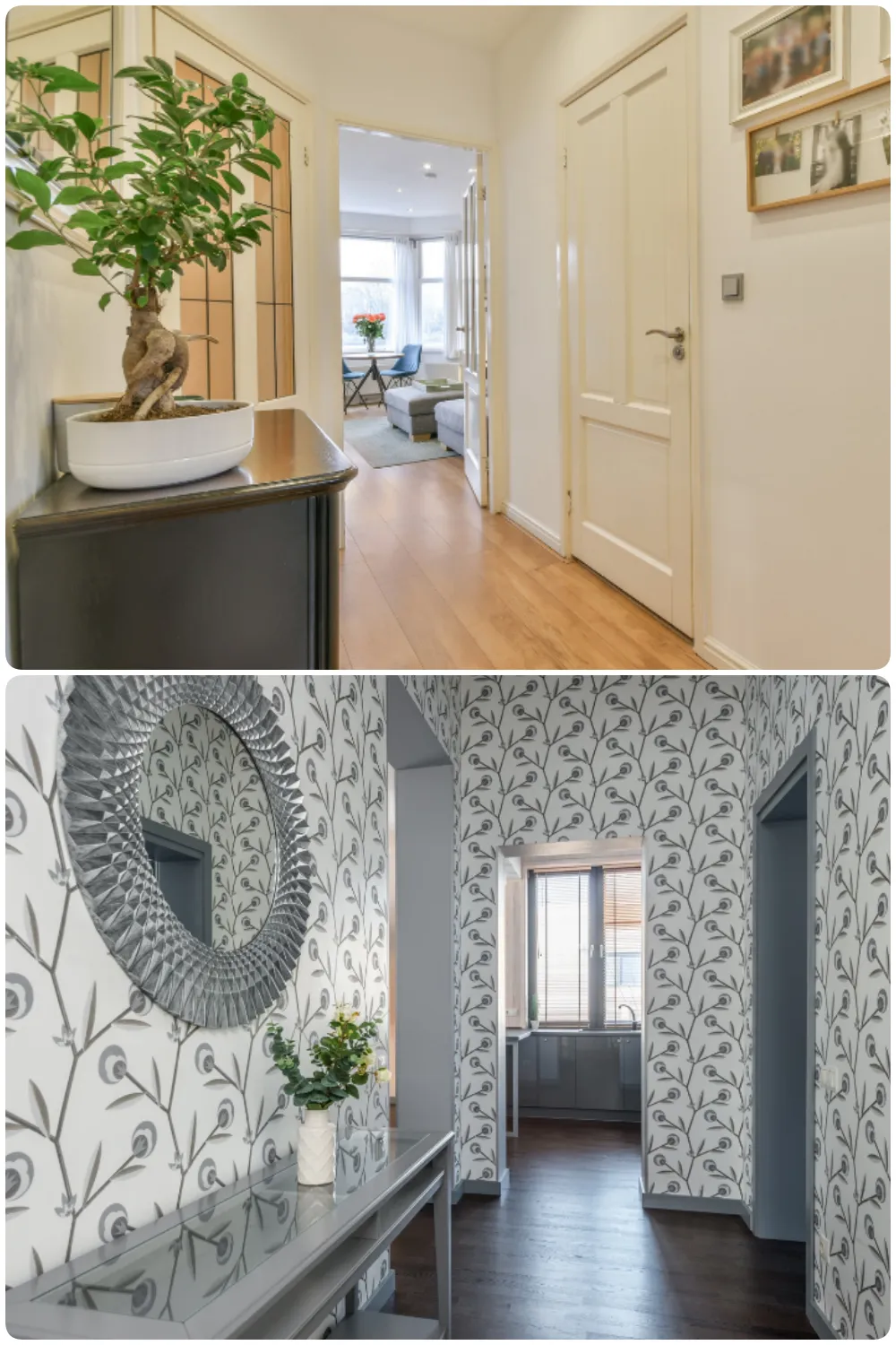 hallways featuring decorative plants mirrors and floral wallpaper in bright light